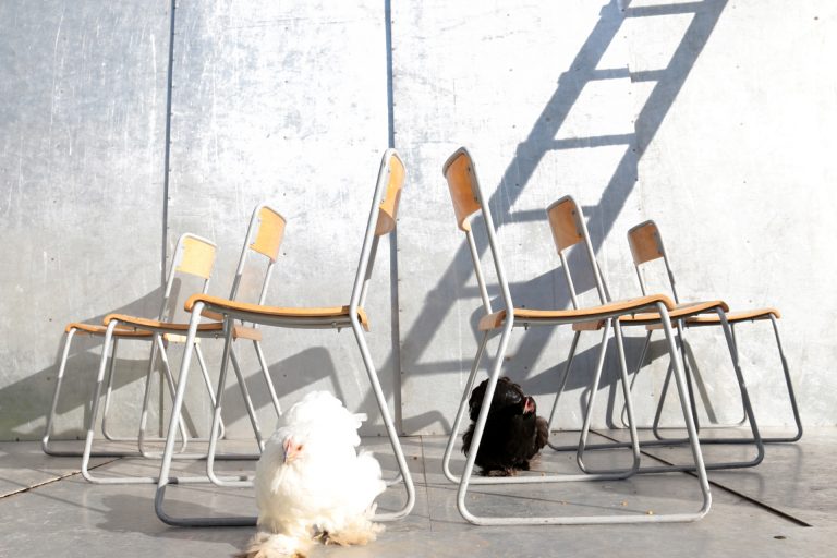 Industrieel Vintage schoolstoelen rank sledeframe