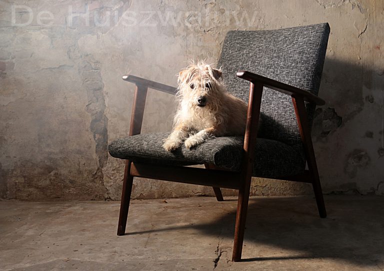 Vintage Design Teakhouten Fauteuil Deens jaren 60
