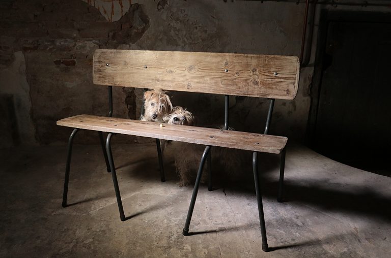 Industrieel Geleefd Schoolstoelbankjes met oude planken uit Plateelfabriek