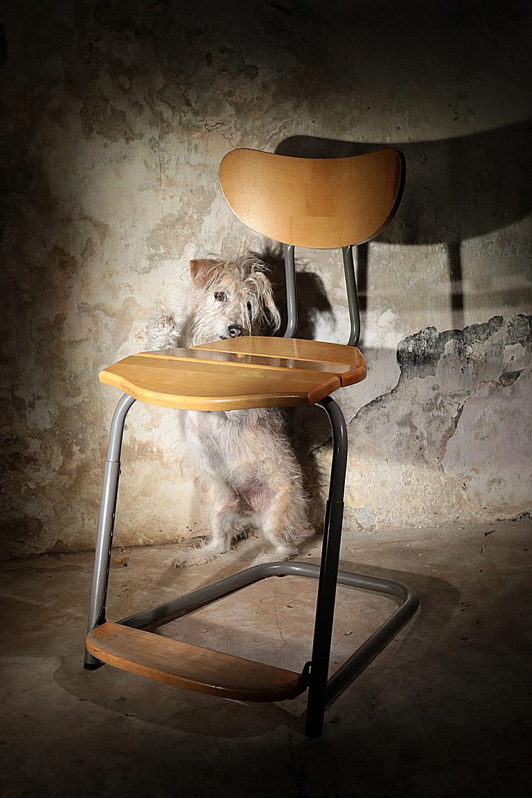Industrieel Design Tranås skolmöbler Schoolstoelen Ziri verstelbaar