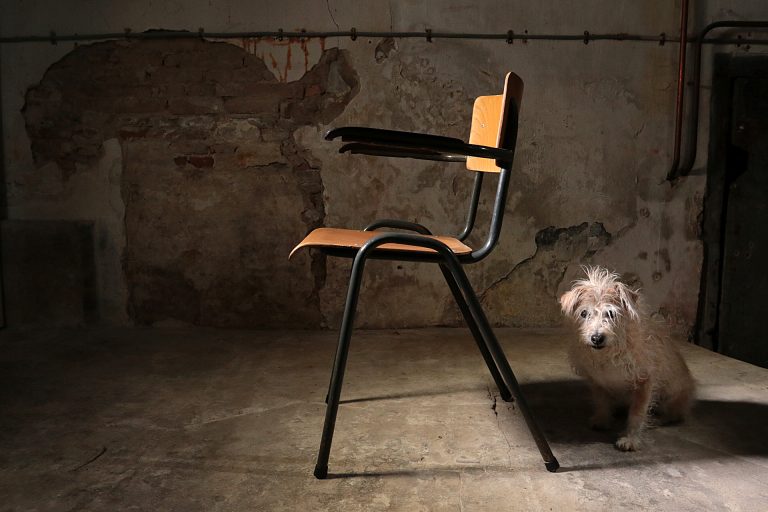 Industrieel Vintage Schoolstoelen met Armleuning donkergrijs frame