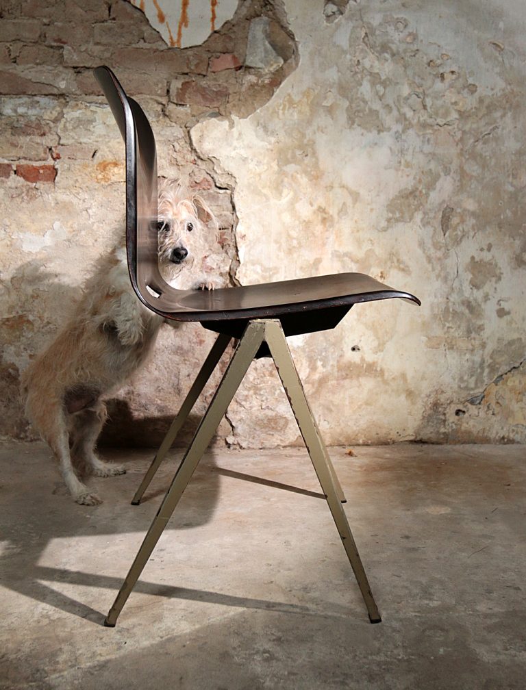 Industrieel Vintage Thur op Seat Prouve S22 Galvanitas schoolstoelen Donker