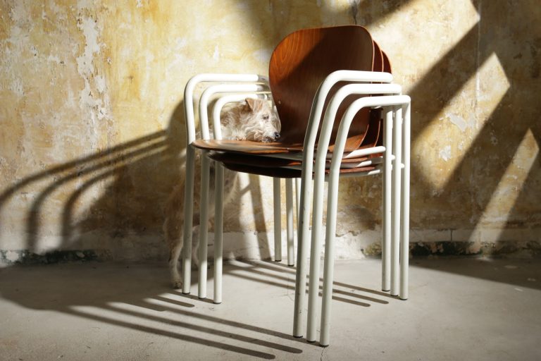 Industrieel Vintage Pagholz Witte Buisframe Schoolstoelen