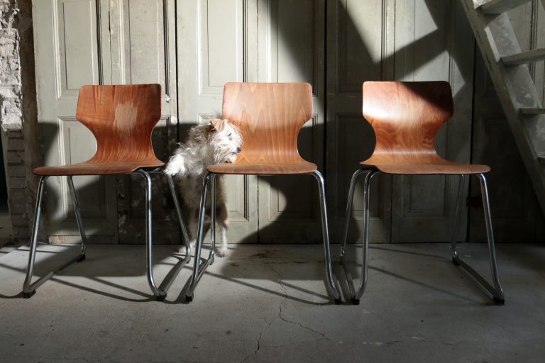 industrieel-vintage-elmar-flototto-pagholz-schoolstoelen-sledeframe
