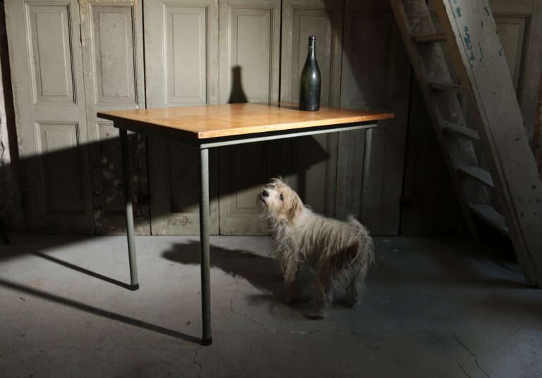 Vintage Design Marko Schooltafel jaren 50