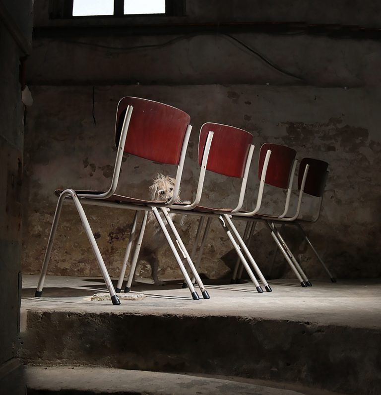 Industrieel Vintage Pagholz Schoolstoelen Galvanitas jaren 50