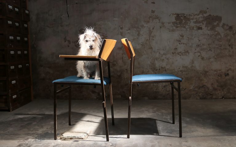 Industrieel Vintage Gijs van der Sluis Jeans stoelen