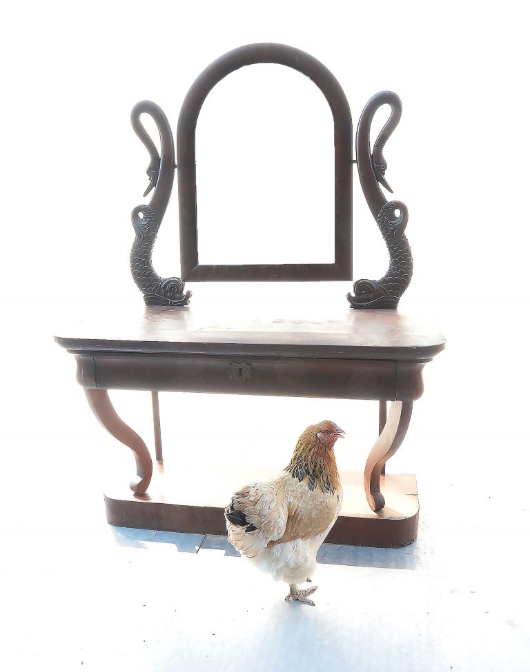 Vintage Casual Luxe Urbex Kaptafel Zwanenhalzen 19e eeuw