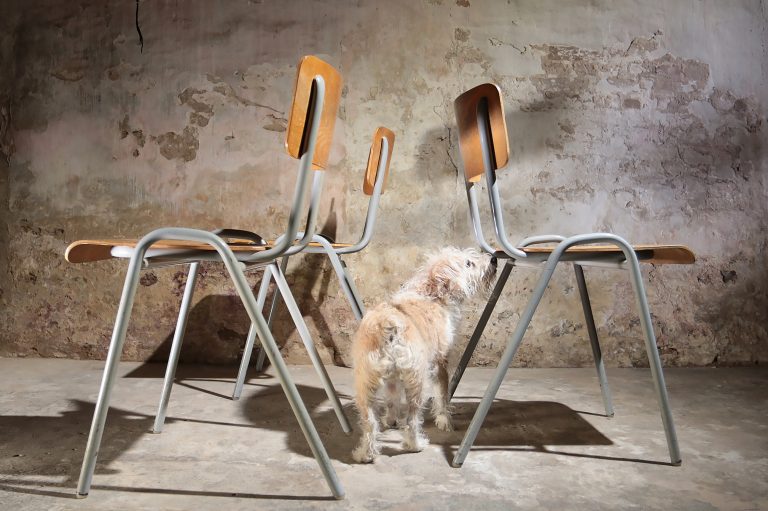 Industrieel Vintage Schoolstoelen Grijs-wit frame