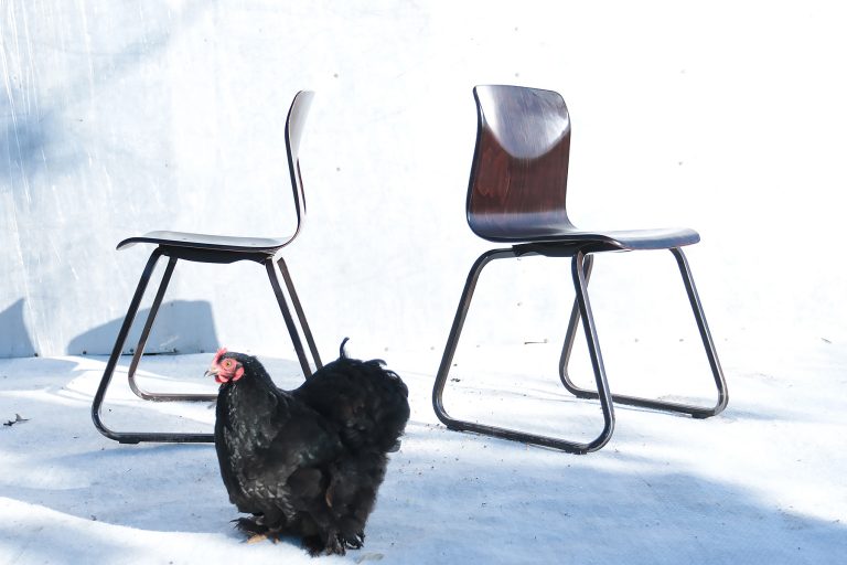 Industrieel Vintage Elmar Flötotto Galvanitas S23 schoolstoelen kindermaat