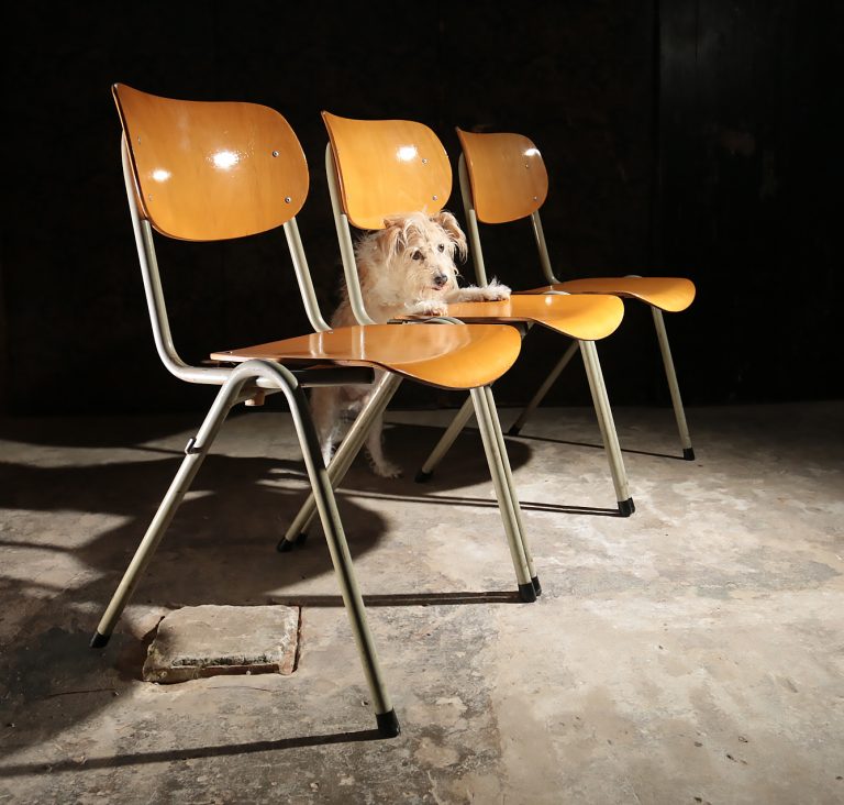 Zeldzame Industrieel Vintage Schoolstoelen Klapstoelen jaren 50