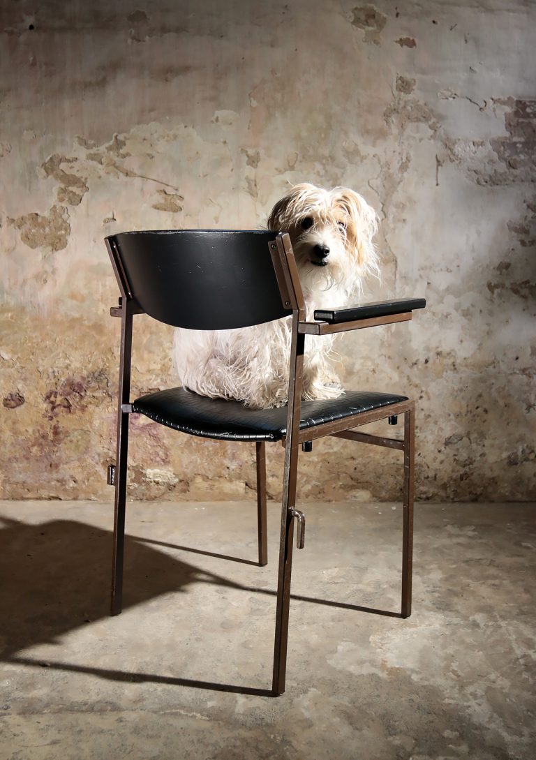 Industrieel Vintage Gijs van der Sluis stoelen Eclectisch