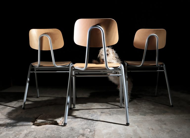 Blonde Industriële Schoolstoelen met lus in de rug