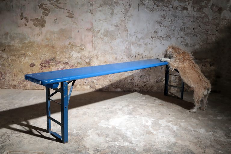 Industrieel Vintage opklapbare Banken Blauw