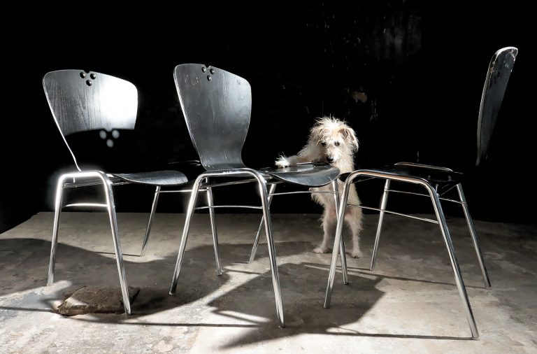 Industrieel Vintage Anton Zeitler Model 114/45 stapelstoelen