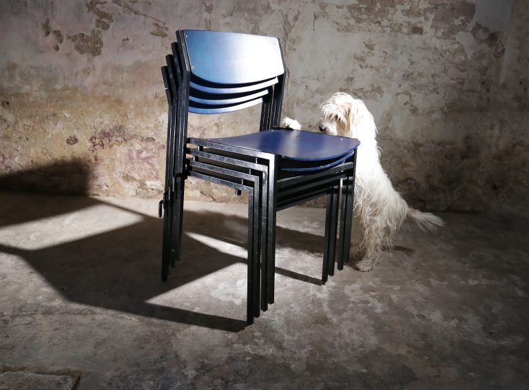 Industrieel Vintage Gijs van der Sluis Schoolstoelen zwart / donker blauw