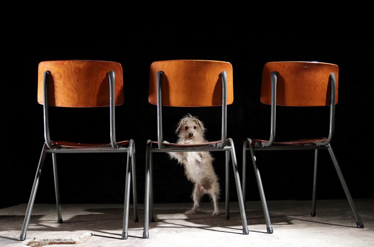 TOP V-vorm Vintage Design Schoolstoelen