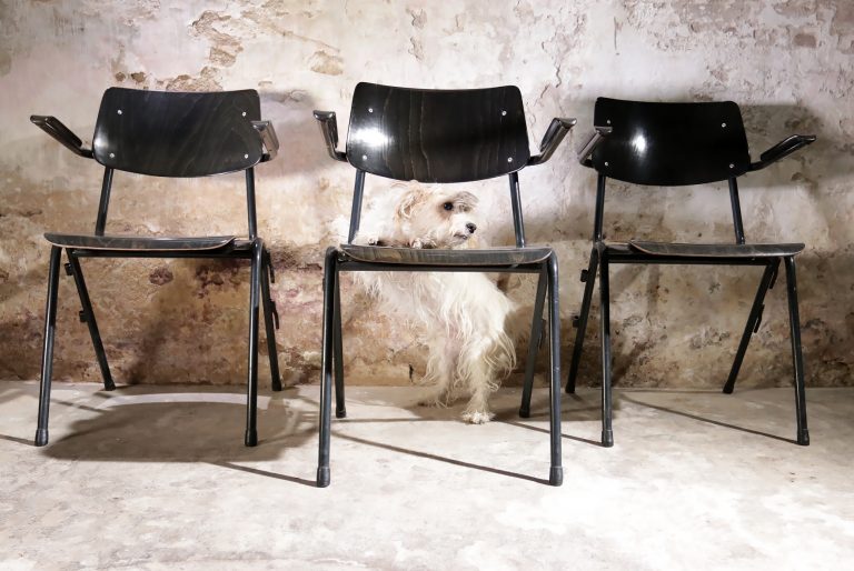 Industrieel Vintage donkere Galvanitas  Schoolstoelen met armleuning