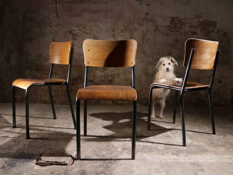 Industrieel Vintage Schoolstoelen met super patina