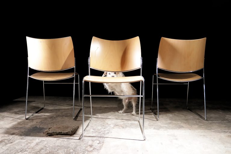 Design Casala Curvy Sigurd Rothe