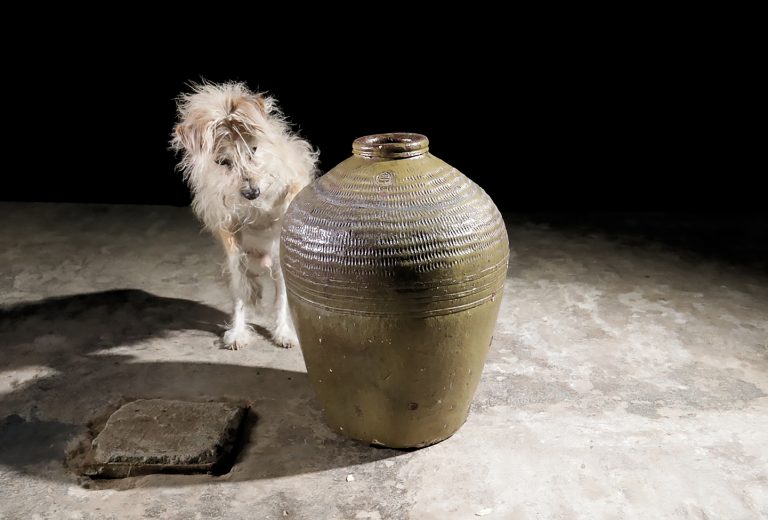 Grote Wabi Sabi vaas uit China rond 1920