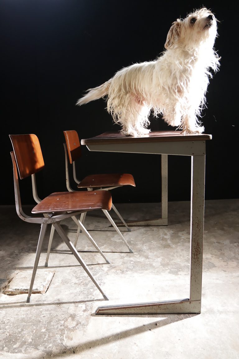Industrieel Vintage Friso Kramer Lessenaar Ahrend de Cirkel