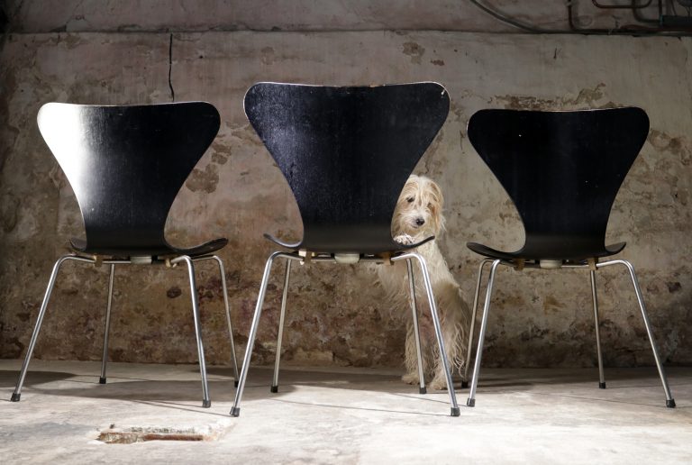 2 Vintage Design Arne Jacobsen Fritz Hansen 3107 Stoelen