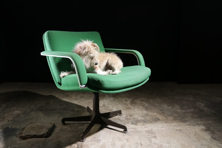 Vintage Design Artifort Geoffrey Harcourt Groene Fauteuil