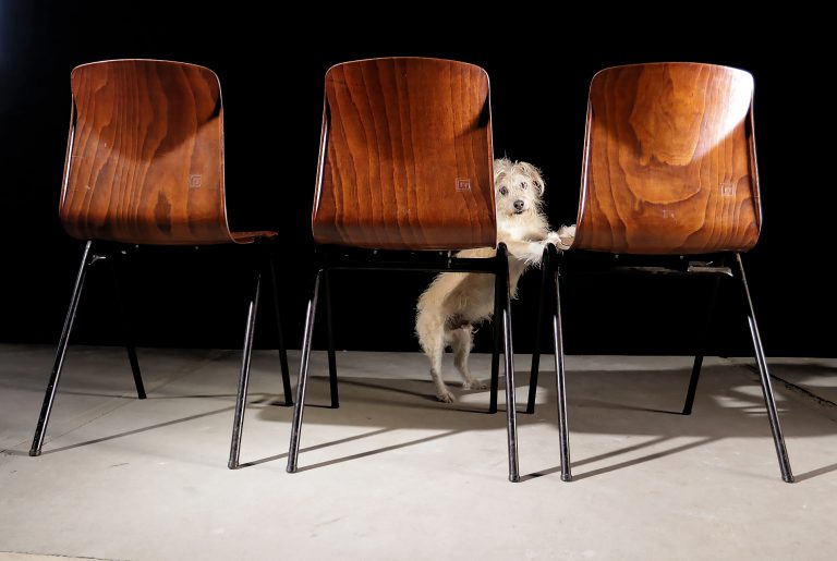 Partij Vintage Design Galvanitas Thur op Seat Schoolstoelen S25
