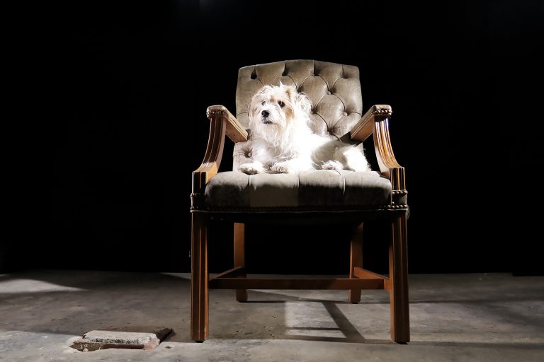 American Vintage Design Fauteuil Antilopenleer jaren 80