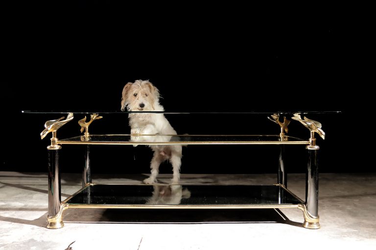 Vintage Hollywood Regency Salontafel gouden vogels