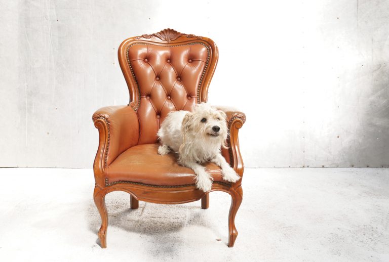 Vintage Barok leren gecapitonneerde fauteuil