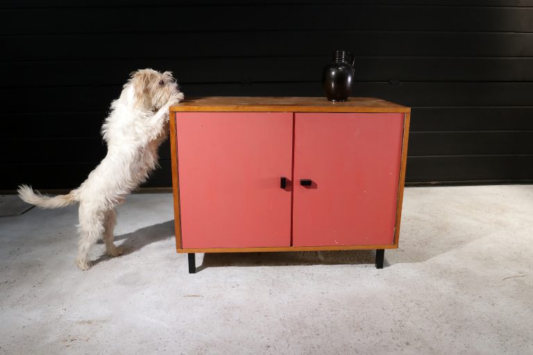 Vintage Design Dressoirtje Roze Teak Zwart
