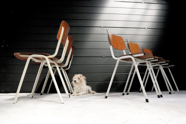Top! Vintage Design Eromes Schoolstoelen Wit frame
