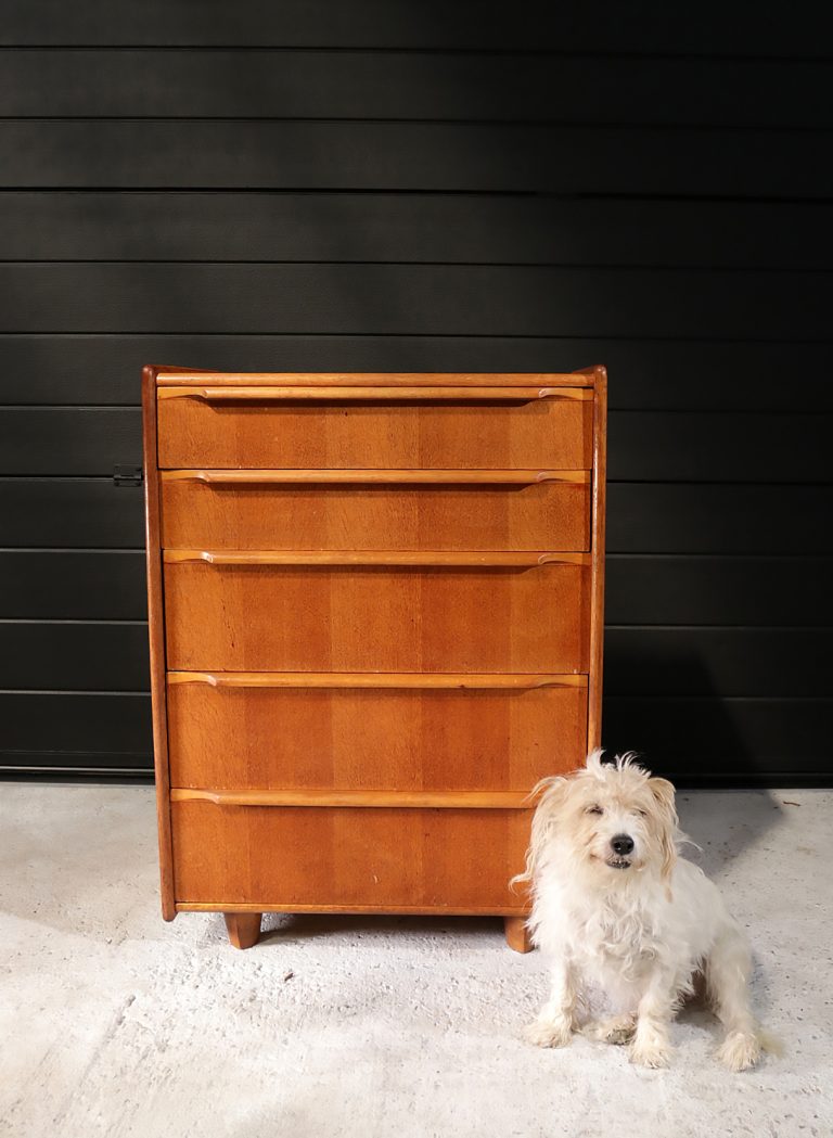Vintage Design Cees Braakman Pastoe Ladekast Eikenserie