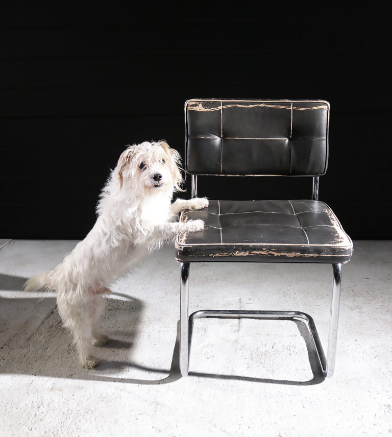Vintage Buisframe stoelen Sleets
