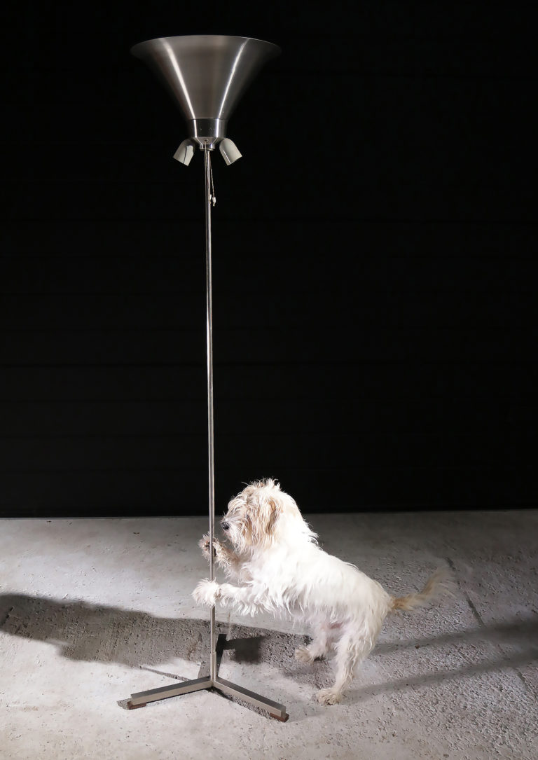 Vintage Dutch Design W. Hagoort floor lamp model 353