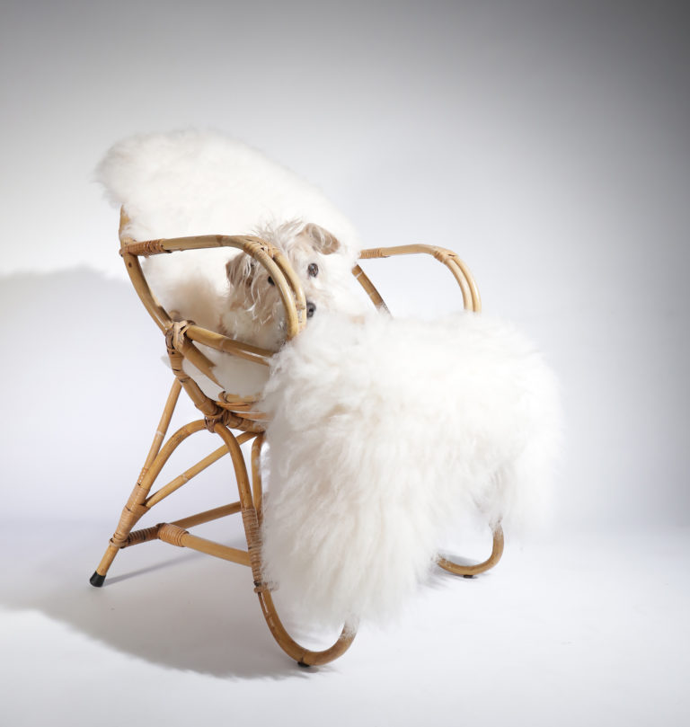 Vintage Dutch Design Rohe Rotan met schapenvacht loungechair 60’s nr2