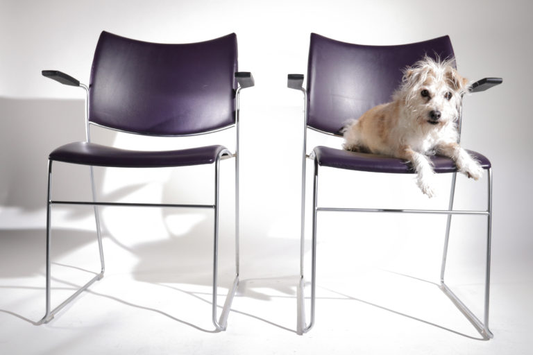Design Stapelstoelen Casala Curvy Sigurd Rothe Leer met armleuning