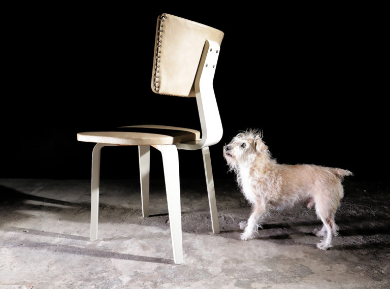 Mid-Century Dining Chair by Cor Alons, Gouda den Boer Gouda, 1949