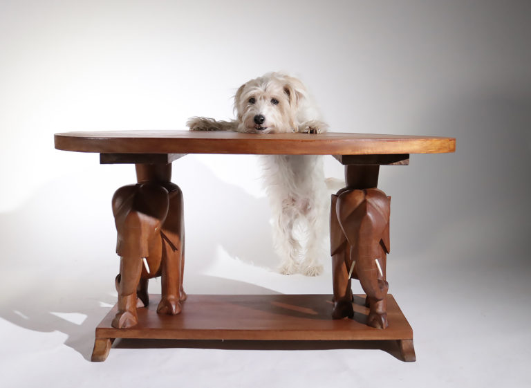 Boho Style Vintage Olifant Teak salontafel