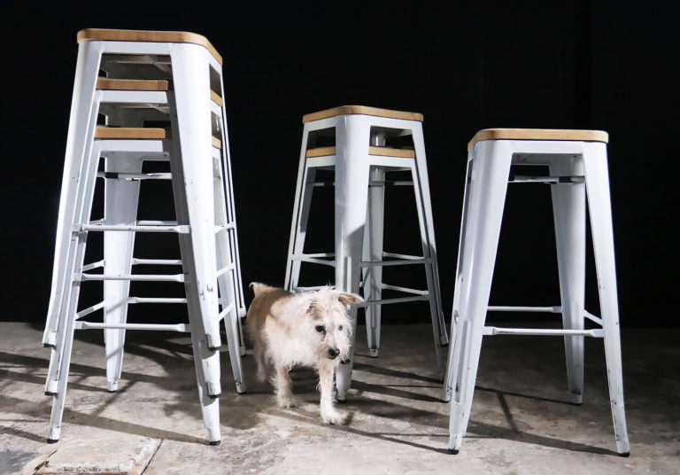 Partij Metalen Blonde Tolix barkrukken met houten zitting
