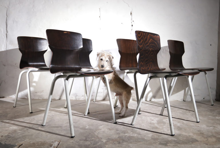 3 Industrieel Vintage OBO Eromes Pagholz schoolstoelen wit frame