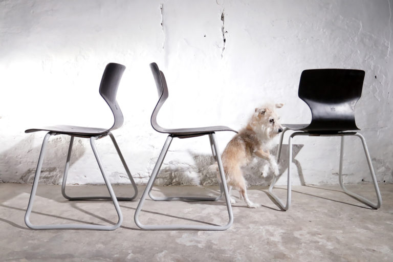 Vintage Design Adam Stegner Flototto Germany Pagholz stoelen