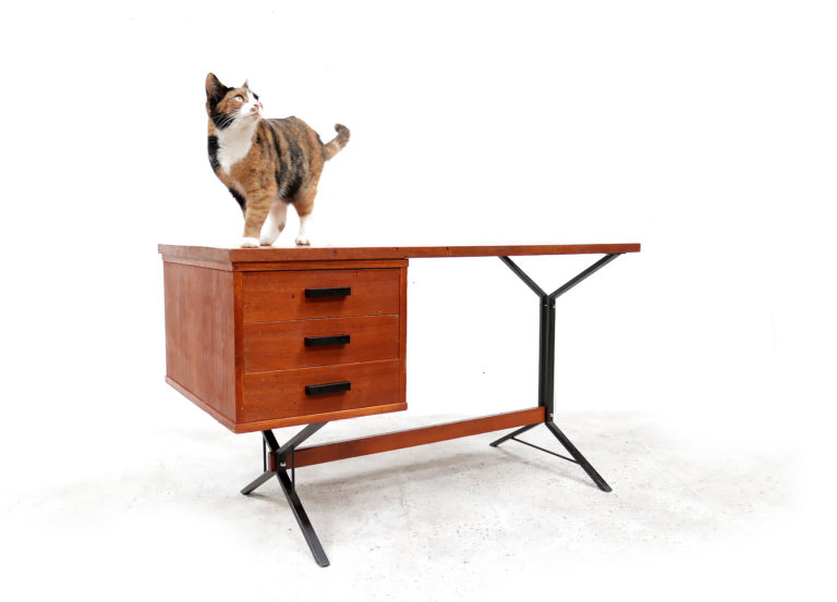 Mid Century Design Bureau