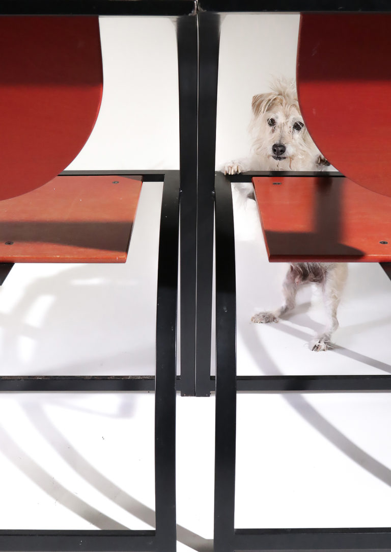 Memphis Design KFF Cosinus Stoelen Rood Zwart jaren 80