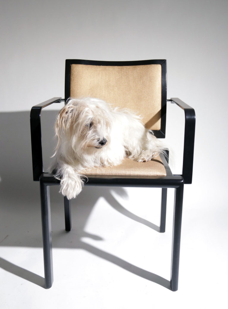Hollywood Regency style stoelen Goud Zwart Dietiker Switzerland