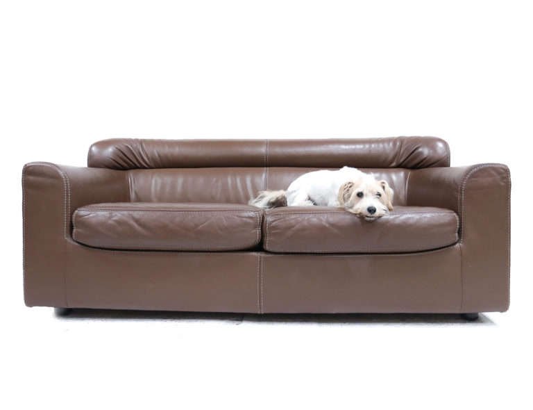 Rare Durlet Buffalo Neck-Leather Sofa 1970s
