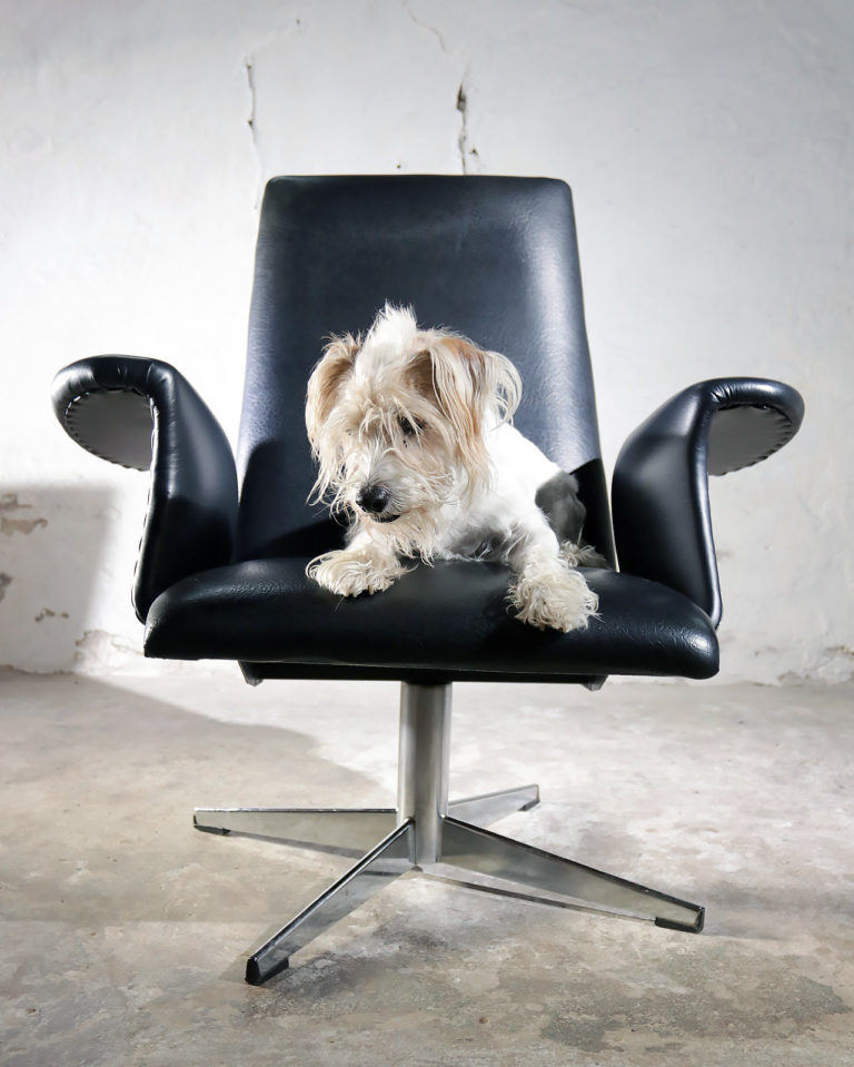 Mid Century Design Goldsiegel Armchair Black faux leather ’60