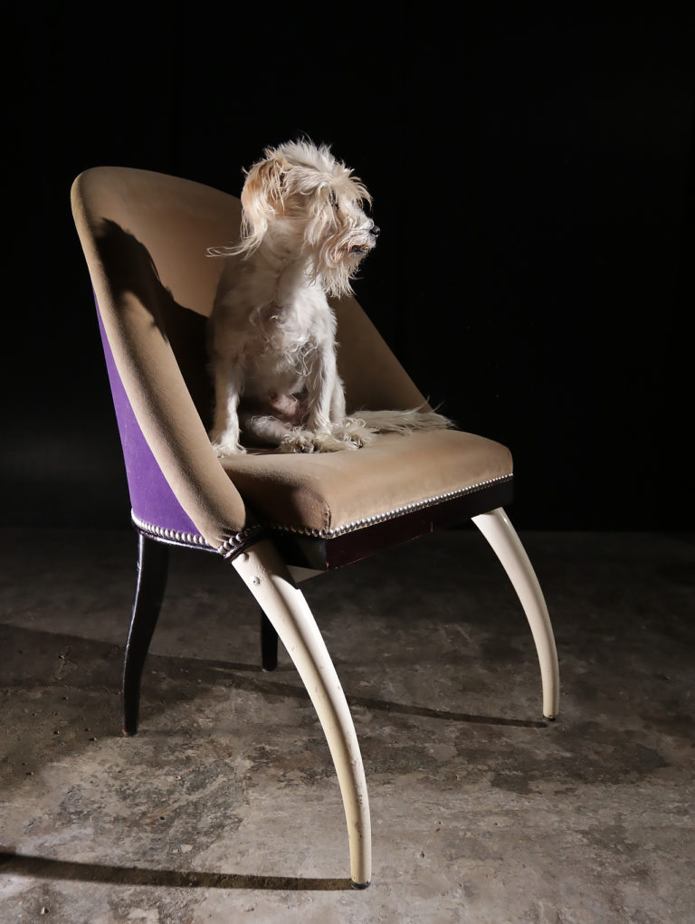 Pierre Counot Émile-Jacques Ruhlmann Art Deco Elephant Chairs